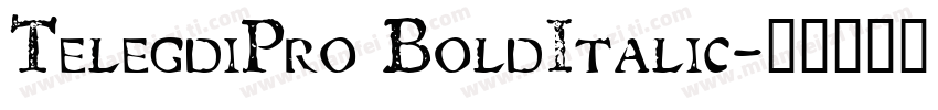 TelegdiPro BoldItalic字体转换
